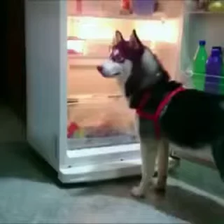 😁