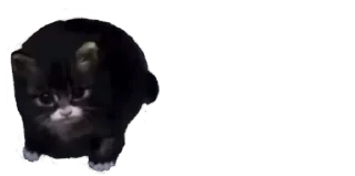 ⚫️