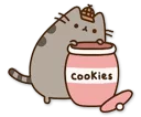🍪