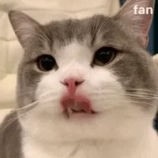 😋