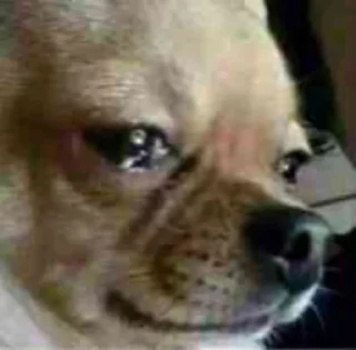 😭