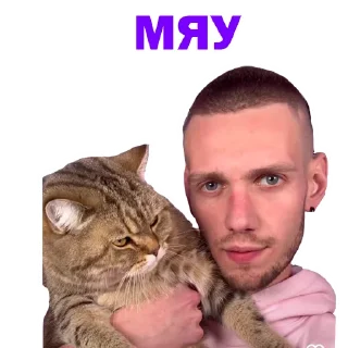 🙀