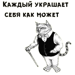 🐱