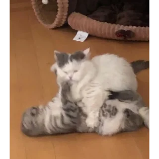 😠