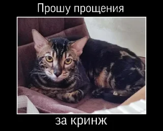 🤐