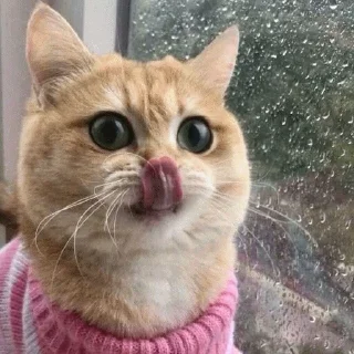 😝