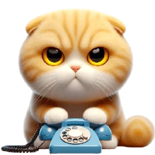 ☎️