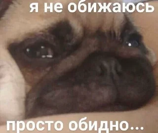 🤧