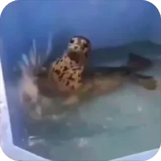 😁
