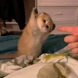 😵