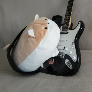 🎸