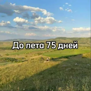 ☀️