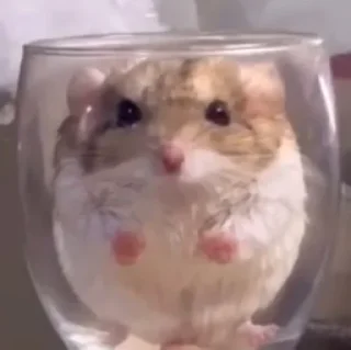😠