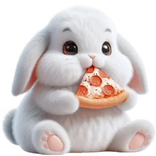 🍕