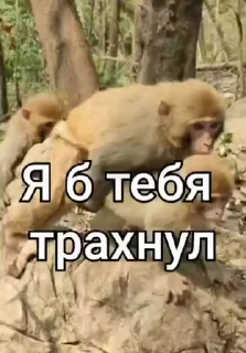 🔞