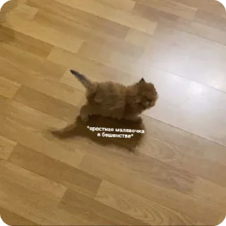 😡