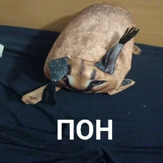 😁