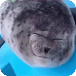 😜