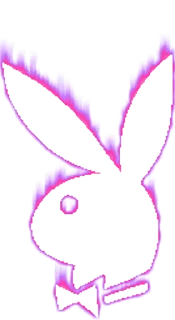 🐰