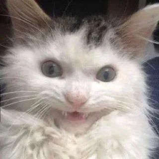 🤯