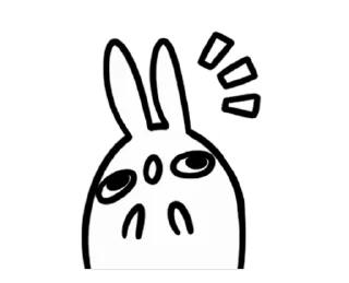 🐰