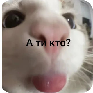 🧐