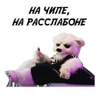 😎