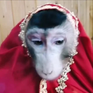 😨