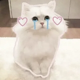 😭