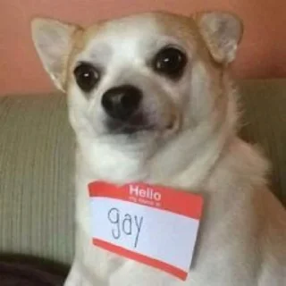 👬