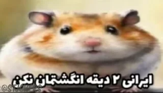 🐹