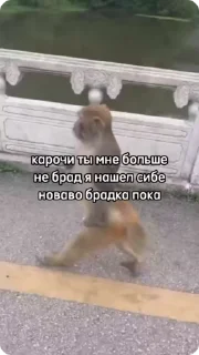 🚶