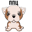 🐶