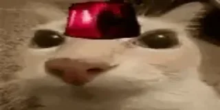 🚨