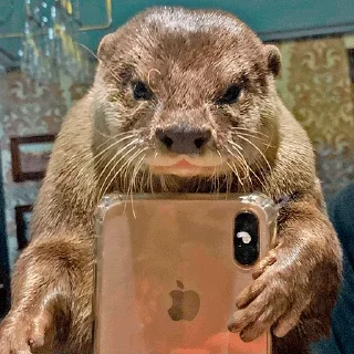 😎