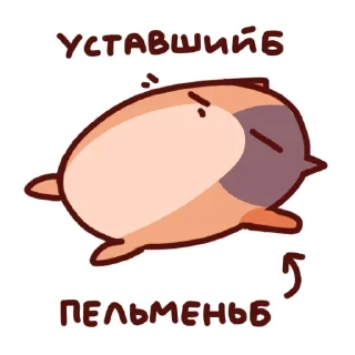 😴