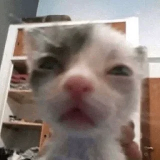 😑