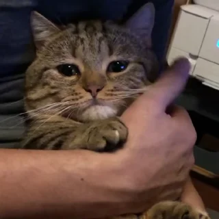 😢