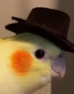 🎩