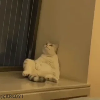 🙂