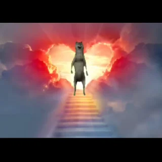 🐺