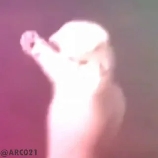 🕺