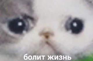 🥲