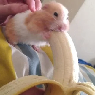 😏