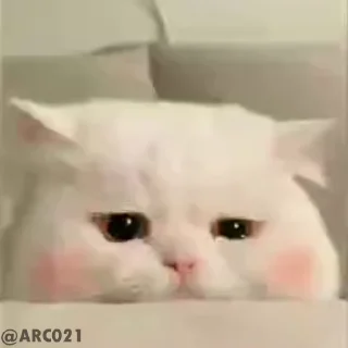 🥺