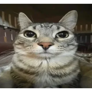 😐
