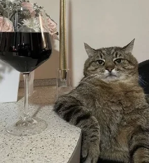 🍷