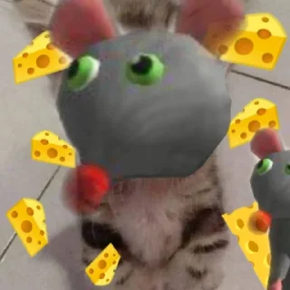 🧀