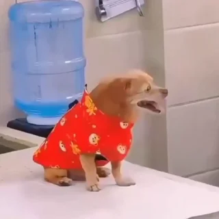 😰