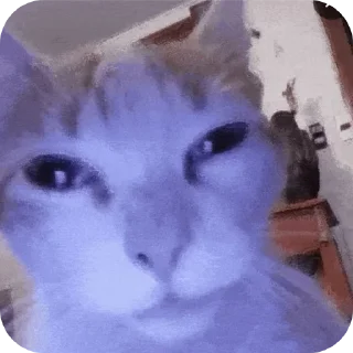 😑